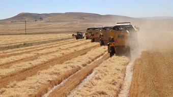 Resmi Gazete'de yayımlandı: Türkiye genelinde tarım sayımı yapılacak