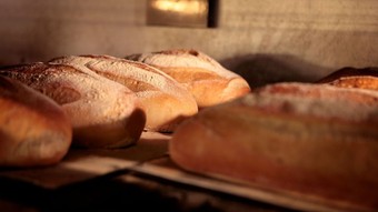 Mahkeme zammı iptal etti! Ekmek fiyatları düştü