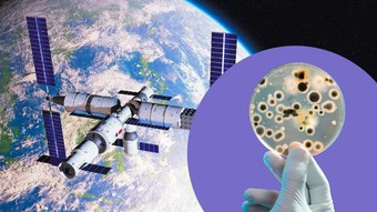Çinli bilim insanları uzay istasyonunda yeni bir mikrop keşfetti