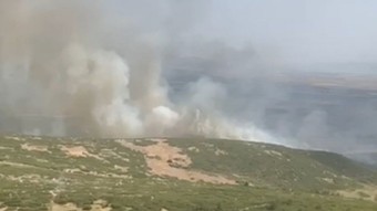 İzmir Foça’da yangın: Tarım arazisinden ormanlık alana sıçradı