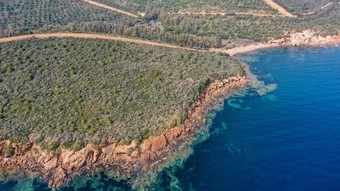 İzmir'de ormanlık alanlara girişler yasaklandı