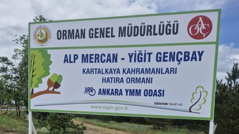 Ankara YMMO'dan Kartalkaya kahramanlarına vefa: Hatıra ormanı kuruldu