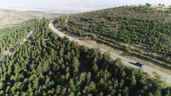 Kırıkkale'de 5 ay boyunca ormanlara giriş yasaklandı