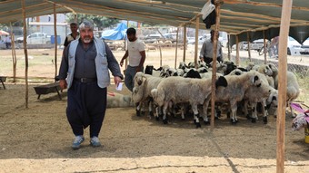 Bayramın ilk günü geride kaldı, kurbanlık fiyatları yüzde 40 azaldı