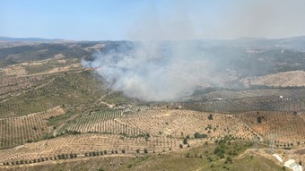 İzmir'de otluk alanda yangın! Ekipler müdahale ediyor
