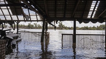 Güney Afrika'da sel felaketi: 7 kişi hayatını kaybetti, birçok kişi kayıp!