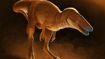 Moğolistan'ın Ejderha Prensi: T-Rex’in 86 milyon yıllık atası keşfedildi