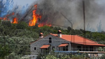 İzmir'in Foça ilçesinde orman yangını (Video)