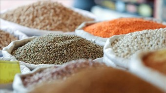 Güneydoğu'dan 5 ayda 1,5 milyar dolarlık hububat ihracatı