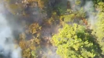 Antalya Kemer'de orman yangını! Dumanlar bölgeyi kısa sürede kapladı