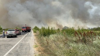 Çanakkale'de 600 dönüm ekili arazi yangında zarar gördü: 1 kişi hakkında işlem başlatıldı
