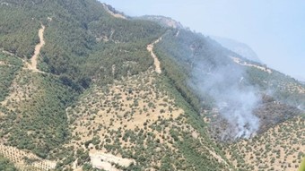 Manisa'da orman yangı: Havadan karadan müdahale ediliyor