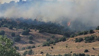 Aydın'da Efeler'de orman yangını: Bir mahalle boşaltıldı