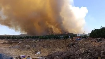Osmaniye'de orman yangını çıktı