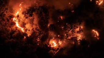 İzmir'de yangın kâbusu: Saatlerdir sürüyor