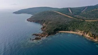 Orman alanlarının deniz kıyısında kalan bölümü özel mülkiyete tahsis edilebilecek
