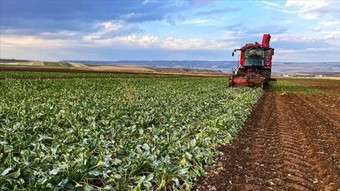Çiftçilere 5,5 milyar lira destek ödemesi bugün yapılacak