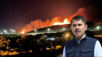 Bakan Kurum yangınlarda en çok zarar gören illeri açıkladı