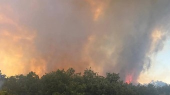 Bir orman yangını da Eskişehir'de çıktı