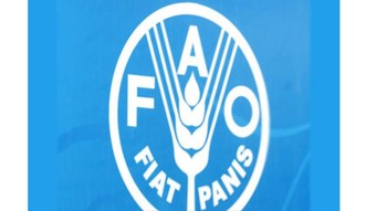 Türkiye, FAO konsey üyeliğine seçildi