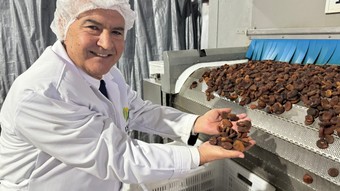 Kuru meyve sektöründe 12 ihracat şampiyonunun 11’i Egeli