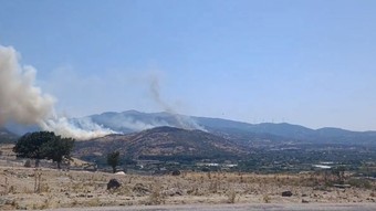 İzmir'de orman yangını: Ekipler Menemen’e sevk edild