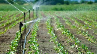 2025 yılı sulama tesisleri ücret tarifesi belirlendi