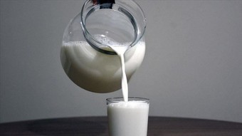 Süt üreticisi zarar ediyor, sanayici rekabet edemiyor
