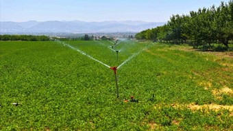 DSİ Genel Müdürü Balta: Malatya’da sulama ile ekonomiye 17,5 milyar TL katkı hedefleniyor