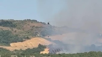 Balıkesir Manyas'ta orman yangını: Havadan müdahale sürüyor