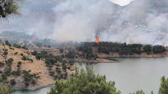 Adıyaman’da ormanlık alanda yangın! Söndürme çalışmaları sürüyor