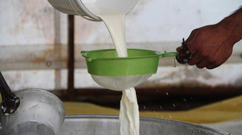 Süt üreticisi tepkili: 7 ay sonra yüzde 7 zam hayal kırıklığı yarattı