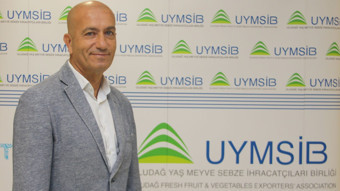 Kiraz ve sert çekirdeklilerde zor sezon, ihracat geriledi