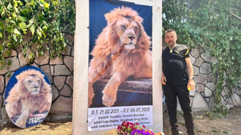 "Zeus" adlı aslanın öldürülmesine ilişkin suç duyurusunda bulunuldu