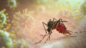 DSÖ’den Chikungunya virüsü alarmı: Küresel salgın uyarısı yapıldı
