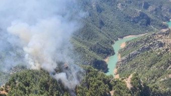 Adana'da ormanlık alanda yangın çıktı