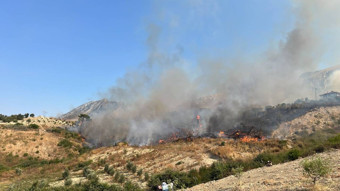 Antalya'nın üç ilçesinde orman yangını