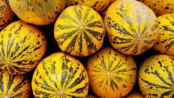 Kırkağaç Kavunu ve Mut Zeytinyağı AB’de tescillendi! Coğrafi işaretli ürün 38 oldu