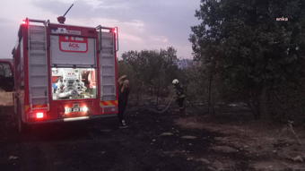 Diyarbakır’da orman yangını: 35 hektar alan etkilendi