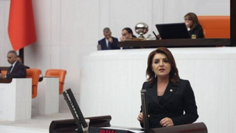 CHP'li Gülcan Kış: Muhalefetin verdiği bin 300 kanun teklifi gündeme alınmadı