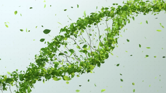 Bitki ve hayvan hücrelerindeki DNA'yı değiştirebilen iki yeni genom teknolojisi geliştirildi
