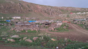 Artvin'de şap alarmı: Hayvanların neredeyse tamamı etkilendi