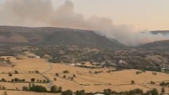 Diyarbakır'ın Silvan ilçesinde orman yangını söndürüldü