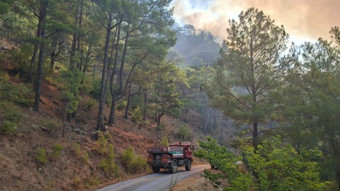 Mersin Anamur'da orman yangını: Ekiplerin müdahalesi sürüyor