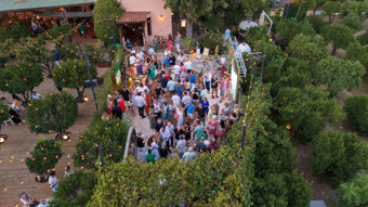 Bodrum Yeşili projesi büyüyor: Pernod Rıcard Türkiye, Bodrum mandalininde ikinci hasatı yaptı