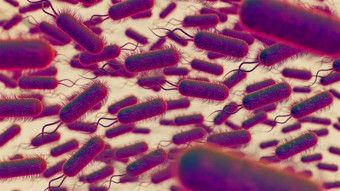E. Coli bakterisi taşıyan et ürünleri idrar yolu enfeksiyonlarına neden oluyor