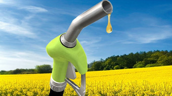 Biyoyakıt iştahı, yağ fiyatlarını yükseltiyor