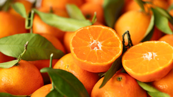 Türkiye’nin mandalina ihracatı 10 ayda 375 milyon dolara ulaştı