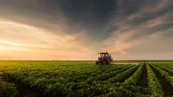Tarımsal ekim döneminde dikkatler gelecek yağışlara çevrildi