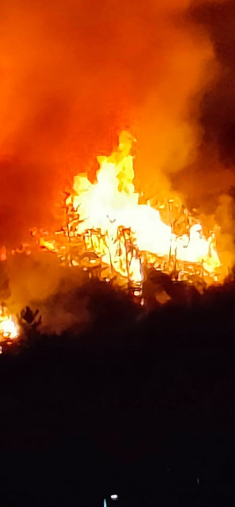 Türkiye'nin dört bir yanında yangın çıktı! İşte dakika dakika yaşananlar - Resim : 1